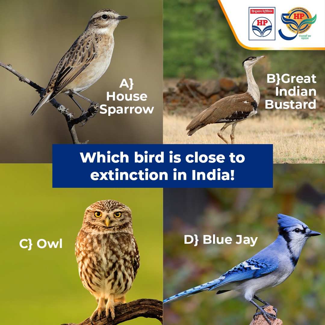 Deforestation, climate change, poaching are threatening the ecosystem of numerous birds and animals. Do you know that one of these birds is already at a risk of extinction! Mention its name in the comment section below.

#Quiz #HPTowardsGoldenHorizon #HPCL #DeliveringHappiness