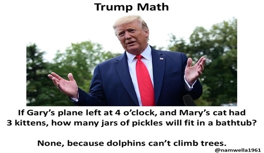 Eric trump says there’s massive crowds showing up to support his dad at his trial. Apparently Eric used Trump's 'my inaugural crowd size was bigger than Obama's' math formula to reach that conclusion.🤡 #ProudBlue #TrumpIsNotFitToBePresident #TrumpTrials #VoteBlueToStopTheStupid