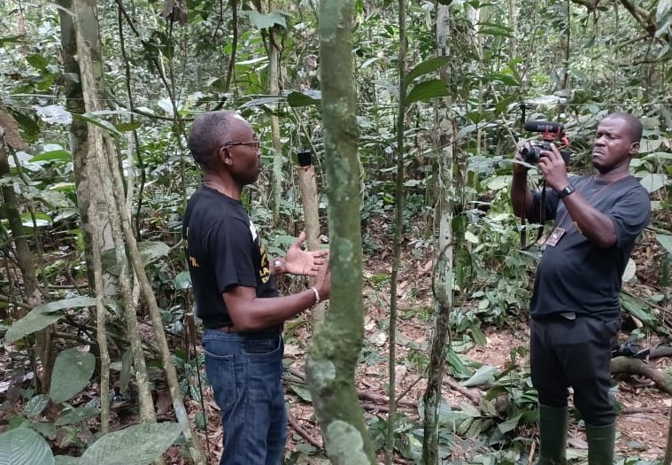 Avec le projet Belinga, il est à prévoir un pic de criminalité environnementale transnationale. C'est le moment de projeter des actions de prévention avec l'appui des communautés locales.<a href="/ivindofm/">Ivindo FM</a>, <a href="/Franceaugabon/">France au Gabon</a>,<a href="/GI_TOC/">Global Initiative</a>,<a href="/MinCometMedias/">Ministère de la Communication et des Médias</a> sont dans cette logique.
Mekambo on vient.