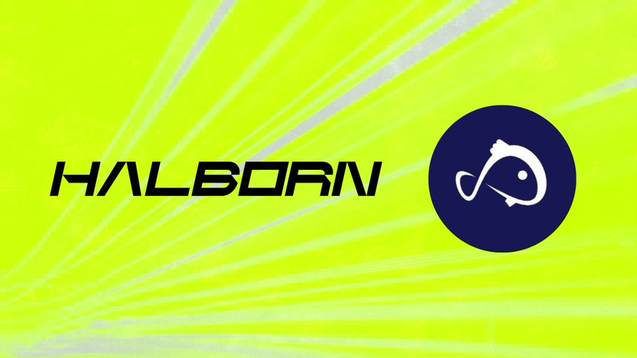 🧩 @HalbornSecurity has successfully completed the Level 1 security assessment for @KoiiFoundation. 🧩 #KoiiFoundation is the most practical and complete #DePIN network 🔽VISIT github.com/HalbornSecurit… #SCN1