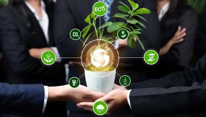 Sustainable Entrepreneurship: Building Eco-Friendly Businesses in Today’s World 

#entrepreneurship #biodiversity #greeneconomy #ClimateAction #ethicalsourcing #GlobalPartnerships #wastereduction @FasterCapital  @EconomicTimes  @NerdWallet  @LegalZoom 

tycoonstory.com/sustainable-en…