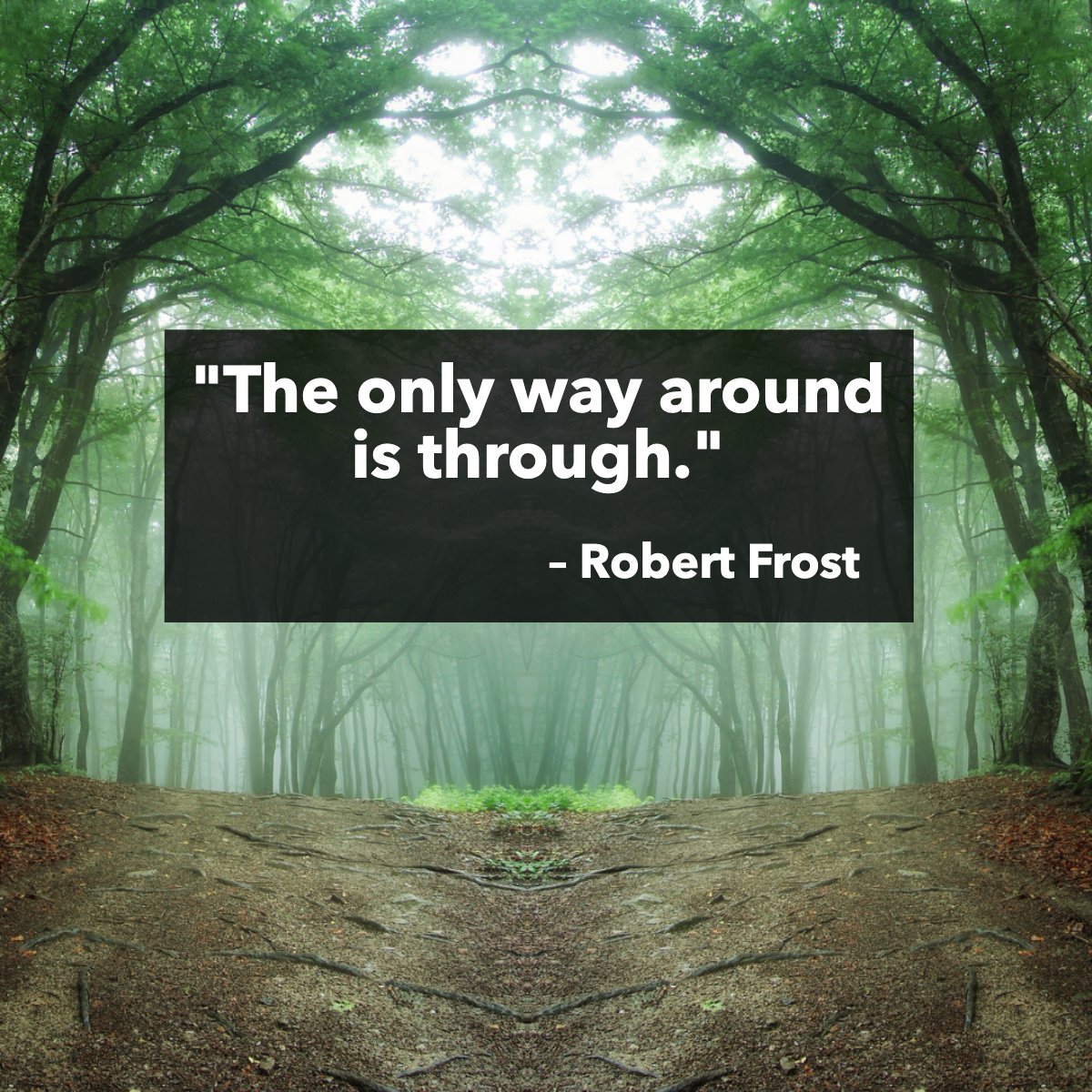 'The only way around is through.' 👌
– Robert Frost

What obstacles are you conquering today? 

#challenges #inspriring #inspirational #woods #forest #robertfrost #quote