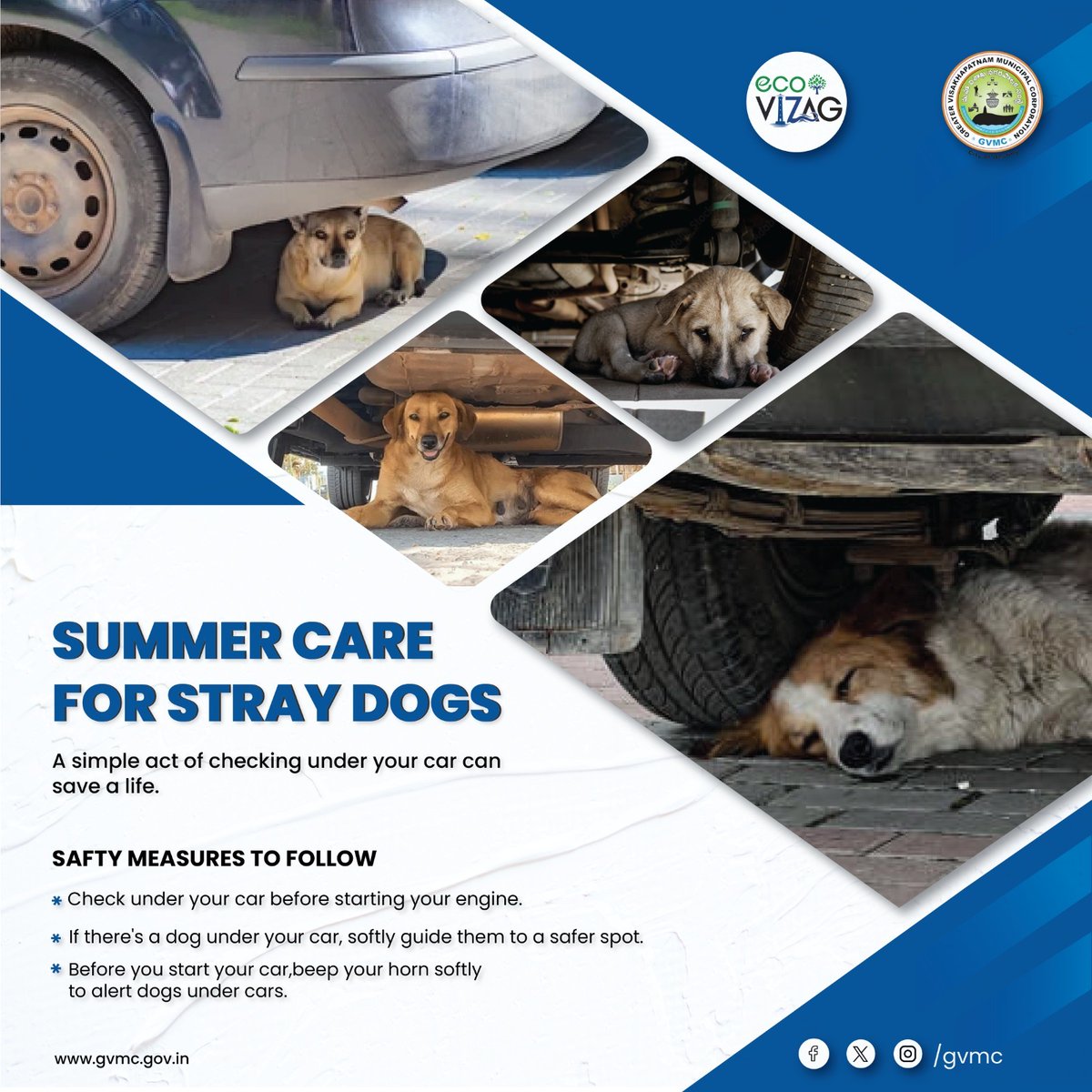 '🐾 Did you know? Dogs often seek shelter under cars during scorching summer days to escape the heat. Let's come together to beat the heat and ensure their safety! 🐕💦 Provide water bowls and food under parked cars, and always check underneath before driving. Together, we can…