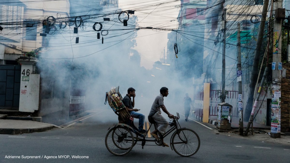 These images capture the challenges of managing the spread of mosquito-borne diseases like dengue and Zika. 1️⃣ Streets in Dhaka, Bangladesh, are sprayed with insecticide to exterminate mosquitoes during a dengue outbreak. [1/7]