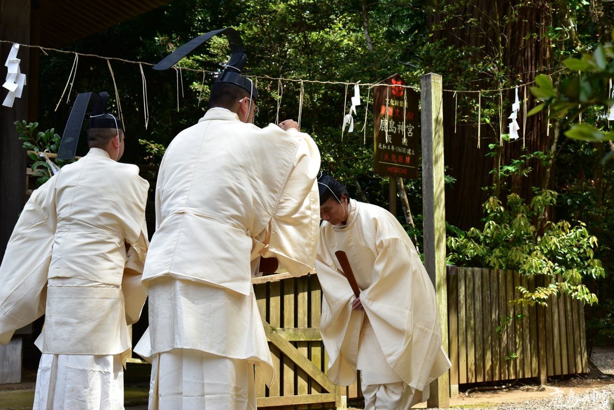 kashima_jingu tweet picture