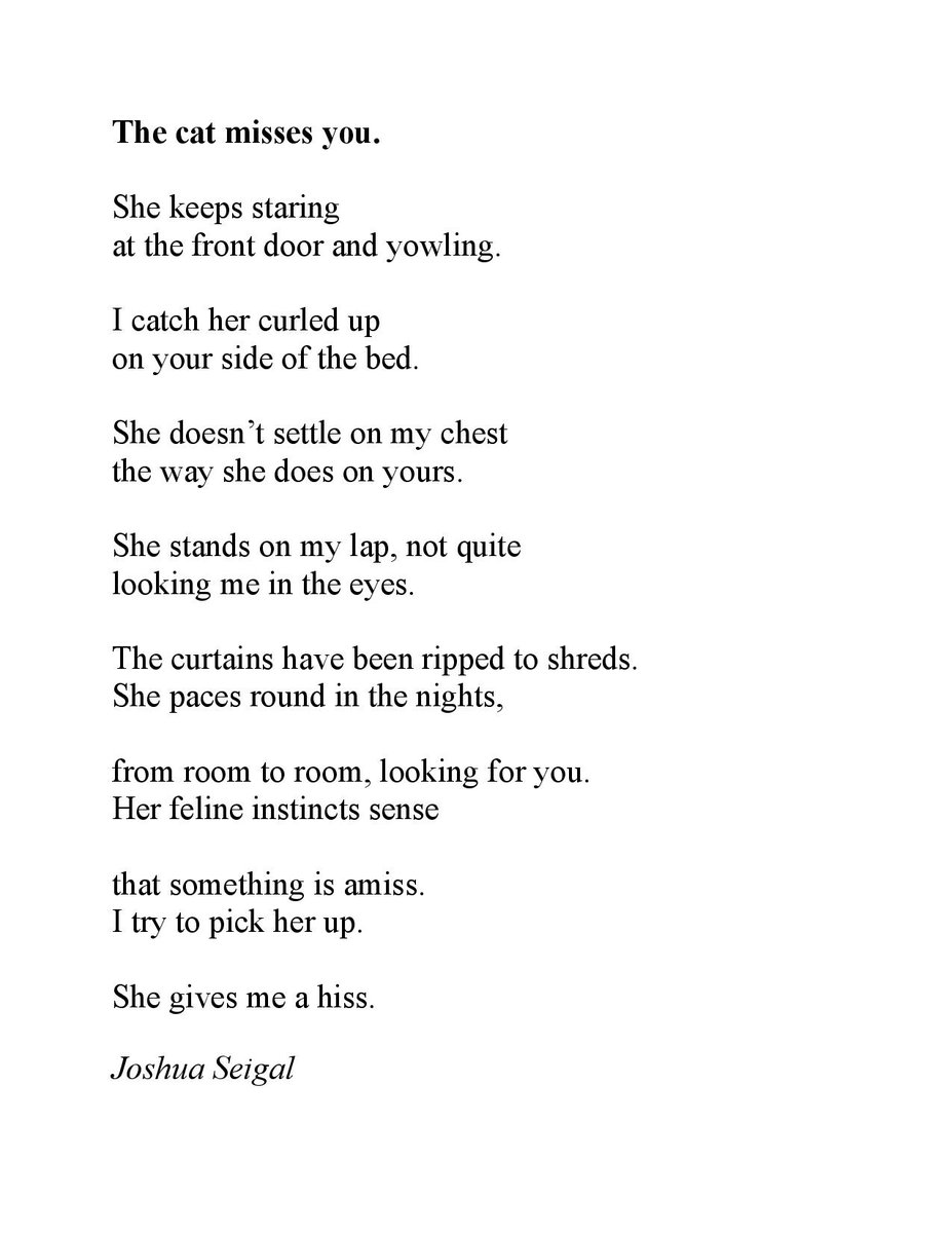 A sort of sequel to yesterday's poem. 'THE CAT MISSES YOU' joshuaseigalpoet.blogspot.com/2024/04/the-ca…