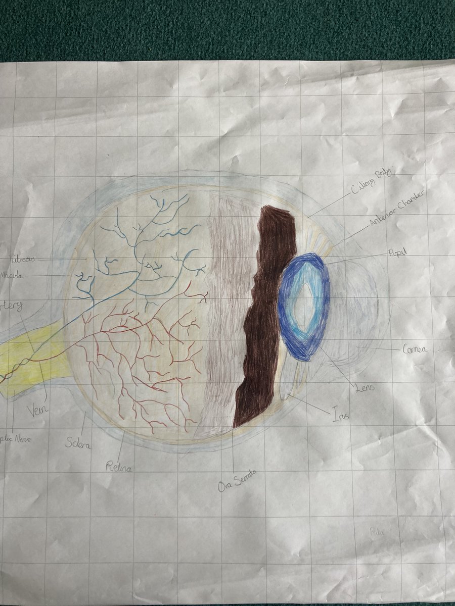 Some impressive art work on our science topic about light and the eye;. #year6hill