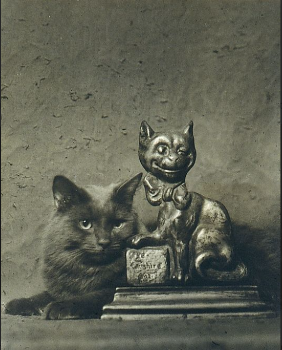 A cat. With a statue of a cat. Double the fun for your #MewseumMonday! (Arnold Genthe, via @metmuseum)