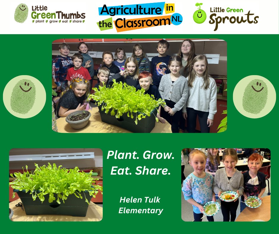 Maureen Foley (@lgtmaureen) on Twitter photo Salad day at Helen Tulk Elementary. Way to grow! <a href="/NLSchoolsCA/">NLSchools</a> <a href="/HelenTulkElem/">Helen Tulk Elem</a> @aitcnl <a href="/littlegrnthumbs/">Little Green Thumbs</a> Salad day at Helen Tulk Elementary. Way to grow! <a href="/NLSchoolsCA/">NLSchools</a> <a href="/HelenTulkElem/">Helen Tulk Elem</a> @aitcnl <a href="/littlegrnthumbs/">Little Green Thumbs</a>