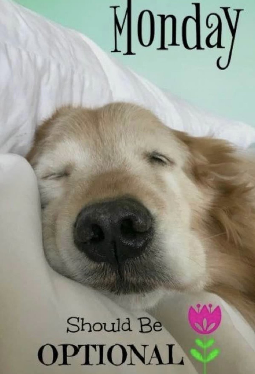 Morning, y’all! 🥰 🎶 💕☕️ 🐾 🐶 Anyone else agree??👇🏻🥱😴 But… it’s here 😉so grab a cup ☕️and get going, and have a marvelous Monday!😘