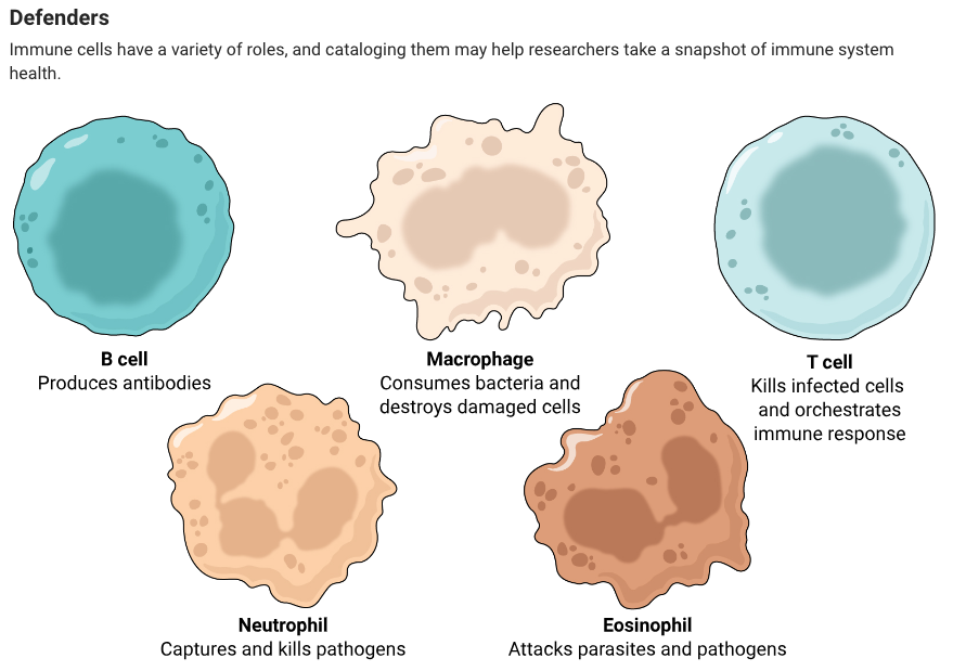 Science Magazine (@sciencemagazine) on Twitter photo The Human Immunome Project will probe thousands of immune variables in blood and tissue samples, likely creating the world’s largest and most comprehensive immunological database.
Learn more on #DayOfImmunology: scim.ag/6LA <a href="/NewsfromScience/">News from Science</a> The Human Immunome Project will probe thousands of immune variables in blood and tissue samples, likely creating the world’s largest and most comprehensive immunological database.
Learn more on #DayOfImmunology: scim.ag/6LA <a href="/NewsfromScience/">News from Science</a>