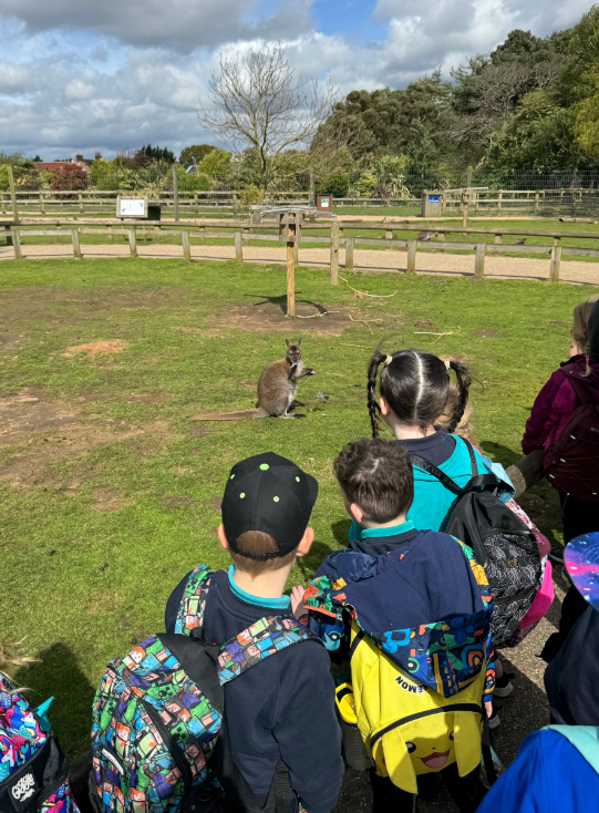 swillingtonps's tweet photo. G'day friend from Australia! #respecttheenvironment @YWPEducation https://t.co/HBfZLibtRp