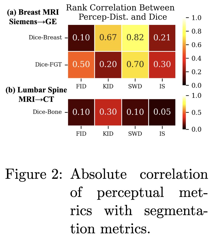Nick Konz (@nick_konz) on Twitter photo I'm happy to share that our lab had three short papers and a long paper accepted at <a href="/midl_conference/">@midl-conference.bky.social</a>!
(1/4): Rethinking Perceptual Metrics for Medical Image Translation
(openreview.net/forum?id=acNu3…), led by me; I'm happy to share that our lab had three short papers and a long paper accepted at <a href="/midl_conference/">@midl-conference.bky.social</a>!
(1/4): Rethinking Perceptual Metrics for Medical Image Translation
(openreview.net/forum?id=acNu3…), led by me;