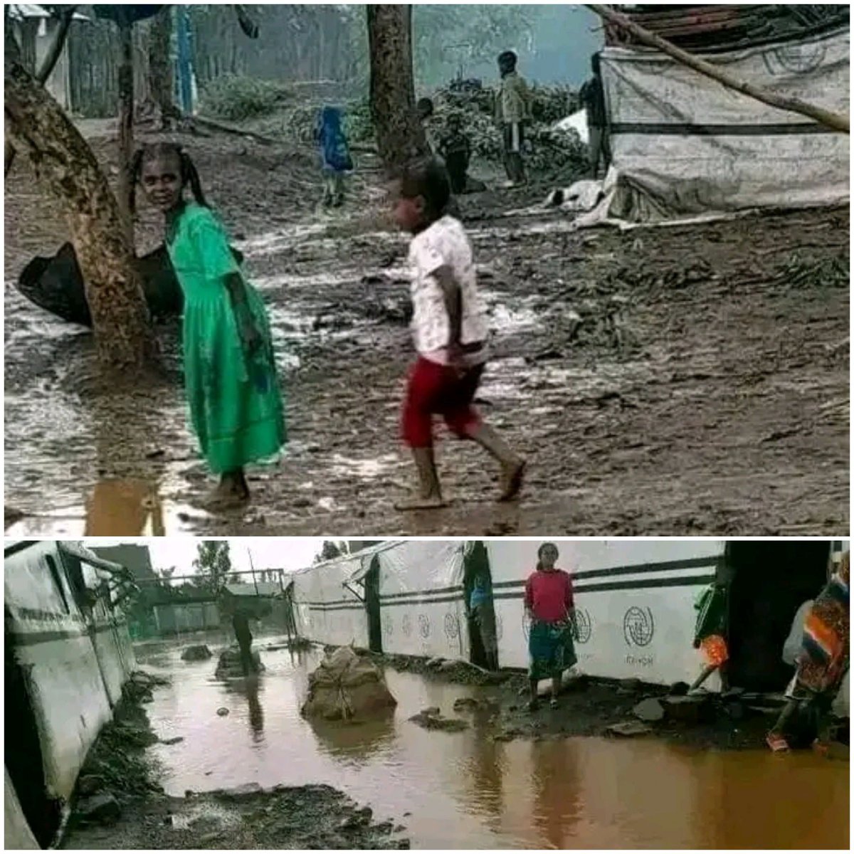 It is really sad💔😥 to see #TegaruIDPs being suffered due to the heavy rains.End #Tigray siege make #TegaruIDPs back to their home.
#AmharaOutOfTigray 
#EriteraOutOfTigray
#UpholdPretoriaAgreement
#ReturnTegaruIDPs 
@hrw @US_AU @SecBlinken @amnesty @EU_Commission @hrw
@Lwam2324
