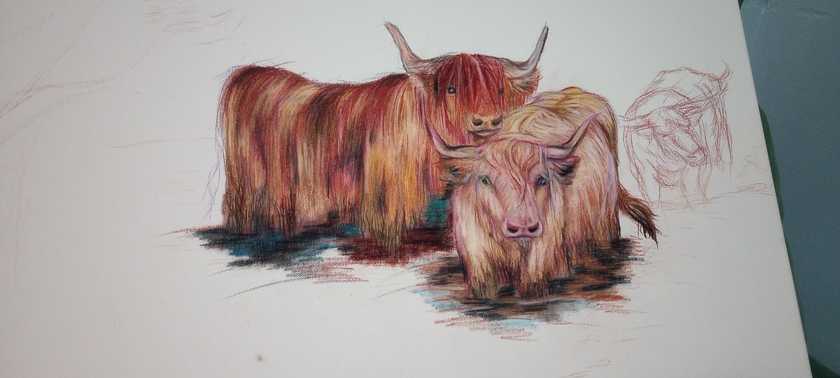 Alright, former Twitter... Trying to not neglect you! Here's my day 3 progress updates on the latest drawing! Find days 1&2 on my Facebook. #art #cows #highlandcows #supportlocalbusinesses