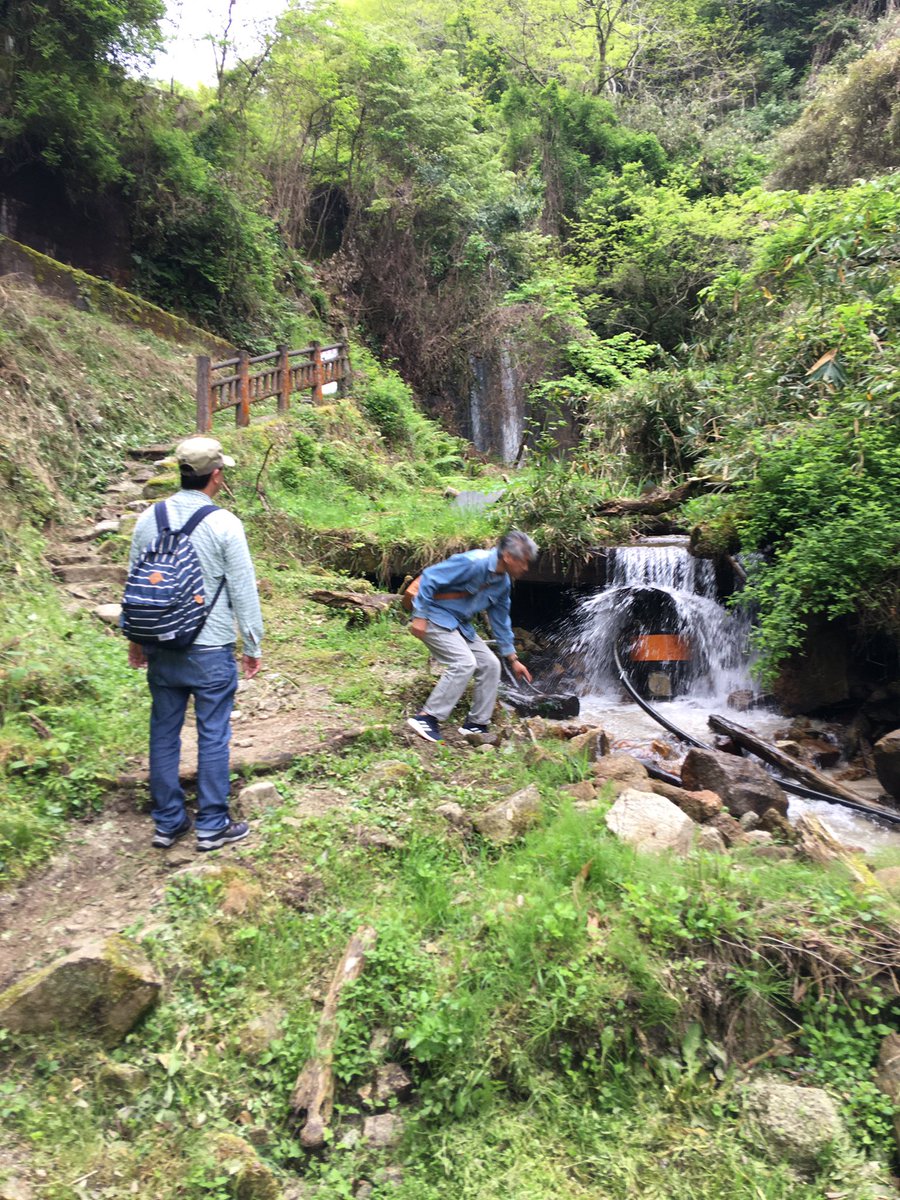 連休初日の４月２７日、葛城高原に行ってきました。
当日は、小雨の降る生憎の天気で、葛城山上を見事に赤く染めるツツジもまだ咲いてませんでしたが、代わりに登山口付近の大手毬をはじめとする花々や山の緑を楽しんできました。
#葛城山  #葛城高原  #登山  #mountainclimbing  #奈良