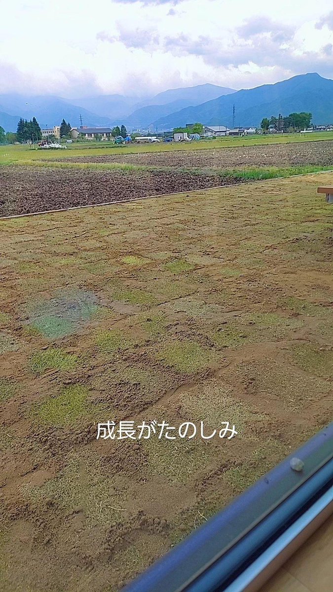 tomoti0726's tweet photo. 朝早くから頑張って良かった✨️ https://t.co/BF8wGFLIGF