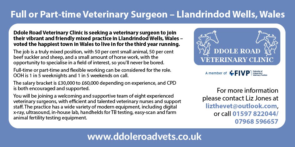 Enjoy a varied job role as a full or part-time veterinary surgeon in the happiest town in Wales!

Join a welcoming and supportive team at a well-equipped lab in an #independentpractice.

Browse more jobs: vetcommunity.com/vc/careers/

#veterinarycareers