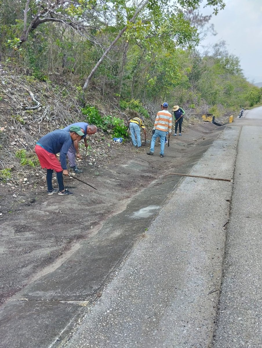 #Enterate || En el sector Barbacoa 1, de la Autopista Antonio José de Sucre en la parroquia Ayacucho de Cumaná, equipos del Saves se desplegaron con actividad de limpieza y desmalezado durante este #24Abr.
@GPintoVzla
#SucreEsCulturaYProgreso
#VenezuelaPaísDeEsfuerzoPropio