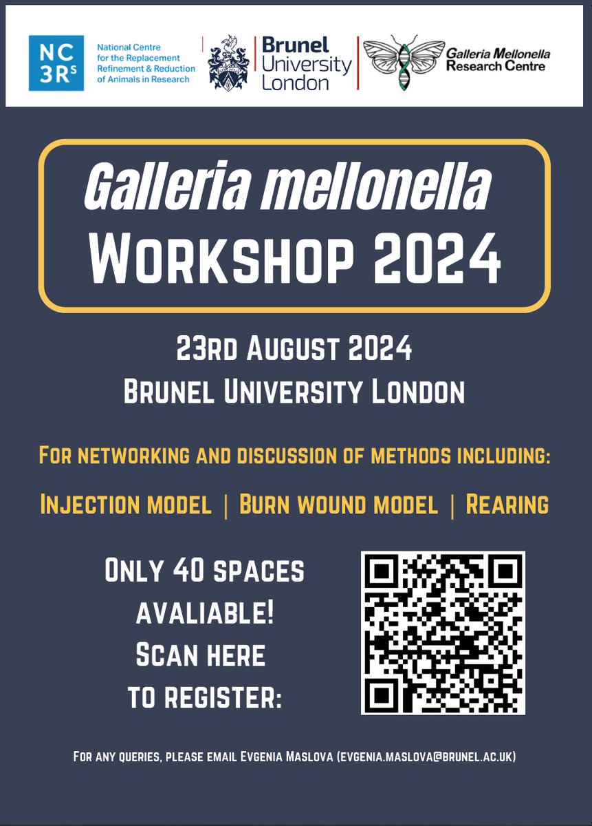 Delighted to share that we will be hosting the 2024 Galleria mellonella Workshop @Bruneluni with the support of the @NC3Rs and @gmrcuk and led by @Evgenia_Maslova . Its free but places are limited! forms.office.com/e/1bgZ5sznm1?o…