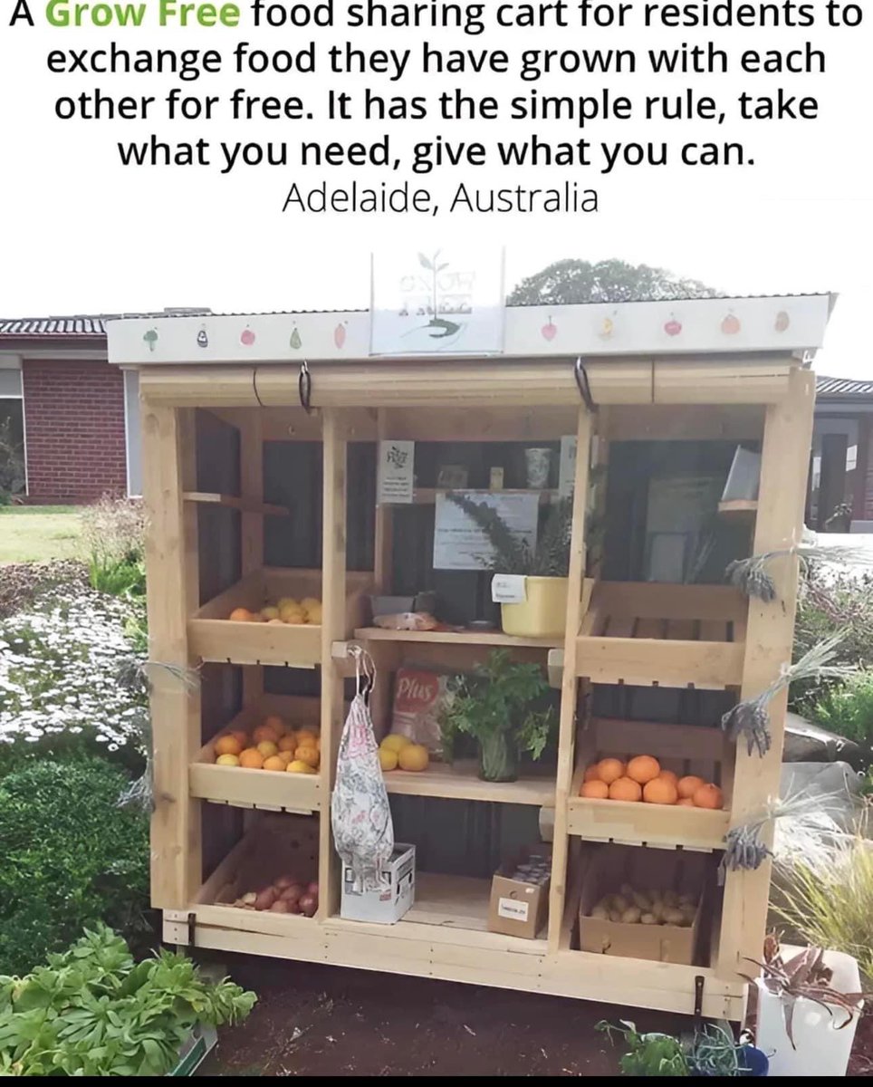 It can be this simple. 

Grow what you can. 

Eat and store what you can. 

Share the rest. 

#MoreFarmersMoreFood
#Together