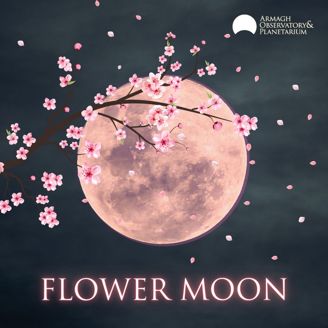 This month’s Full Moon will reach peak illumination at 1:53pm today 🌸 Known as the ‘Flower Moon’, May’s Full Moon gets its name as it is the month associated with the first blooming of flowers after winter.