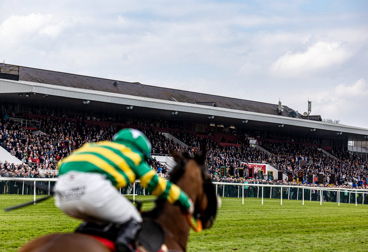 ❤️ if you're excited for the 2024 Punchestown Festival 🇮🇪