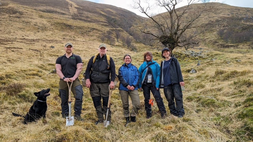 Meet the 'Last Ent of Affric,' an ancient elm in Glen Affric that has become the guardian of a new generation of elms thanks to efforts by @UHI_Research, @TheBotanics and @ForestryLS: bit.ly/3UxJXfs #ThinkUHI #LastEntOfAffric #ConservationSuccess #ScottishNature