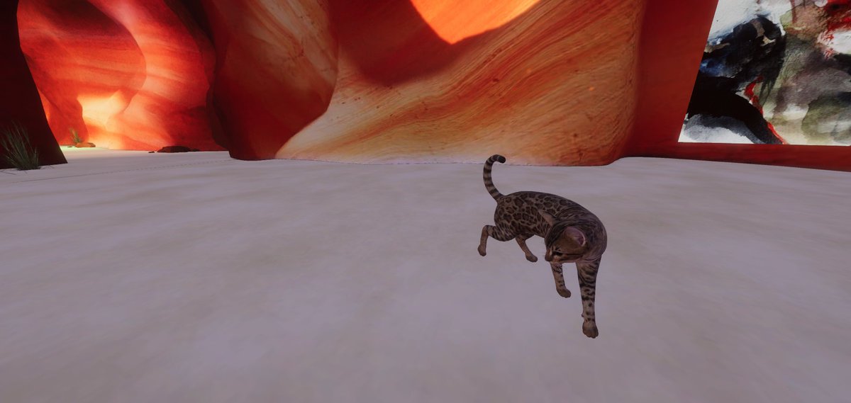 just found an impressive place built by @HajimeTsuruta  - Cave art gallery 🪽 come and watch the art, listen to the sounds of nature, pet the virtual cat and chill🐈 

#worldhopping @Spatial_io #spatial #shotinspatial #Unitymade #Web3