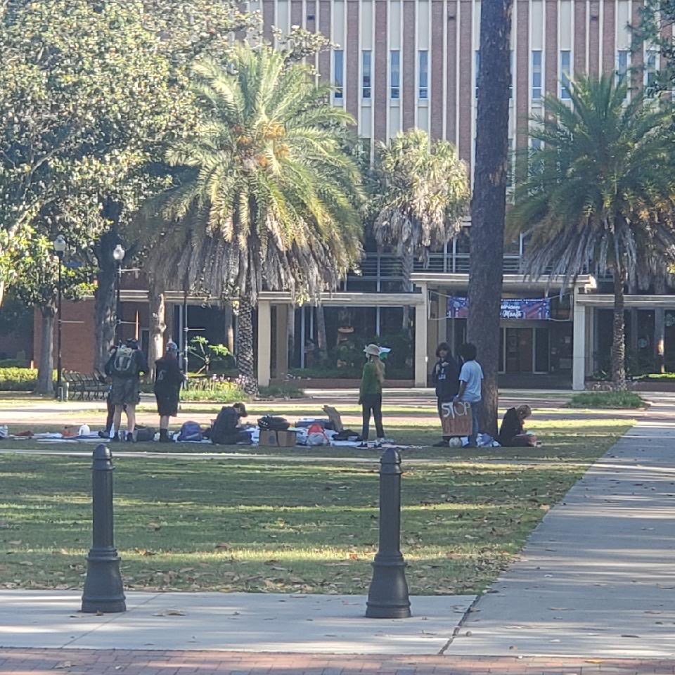Current state of pro-Hamas protests at UF this morning after ⁦@GovRonDeSantis⁩ enforced the law.