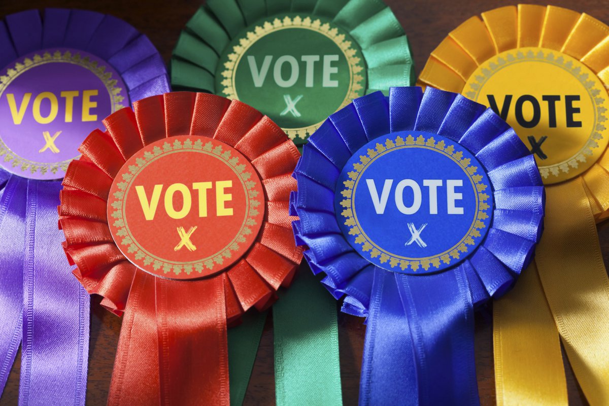 We have local elections this week I'll be voting for the local Residents All the other parties actively detest ordinary people and want to fine, nudge, chastise, punish and imprison us just for living our own lives the way we choose. A plague on all their houses!