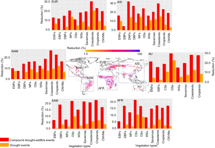 🚨Check our latest publication about global patterns of compound drought-wildfire events🔥🌍 #Drought-#wildfire compound events are increasing in frequency and reduce gross primary #production by double compared to drought-only events. Read more 👉nature.com/articles/s4324…