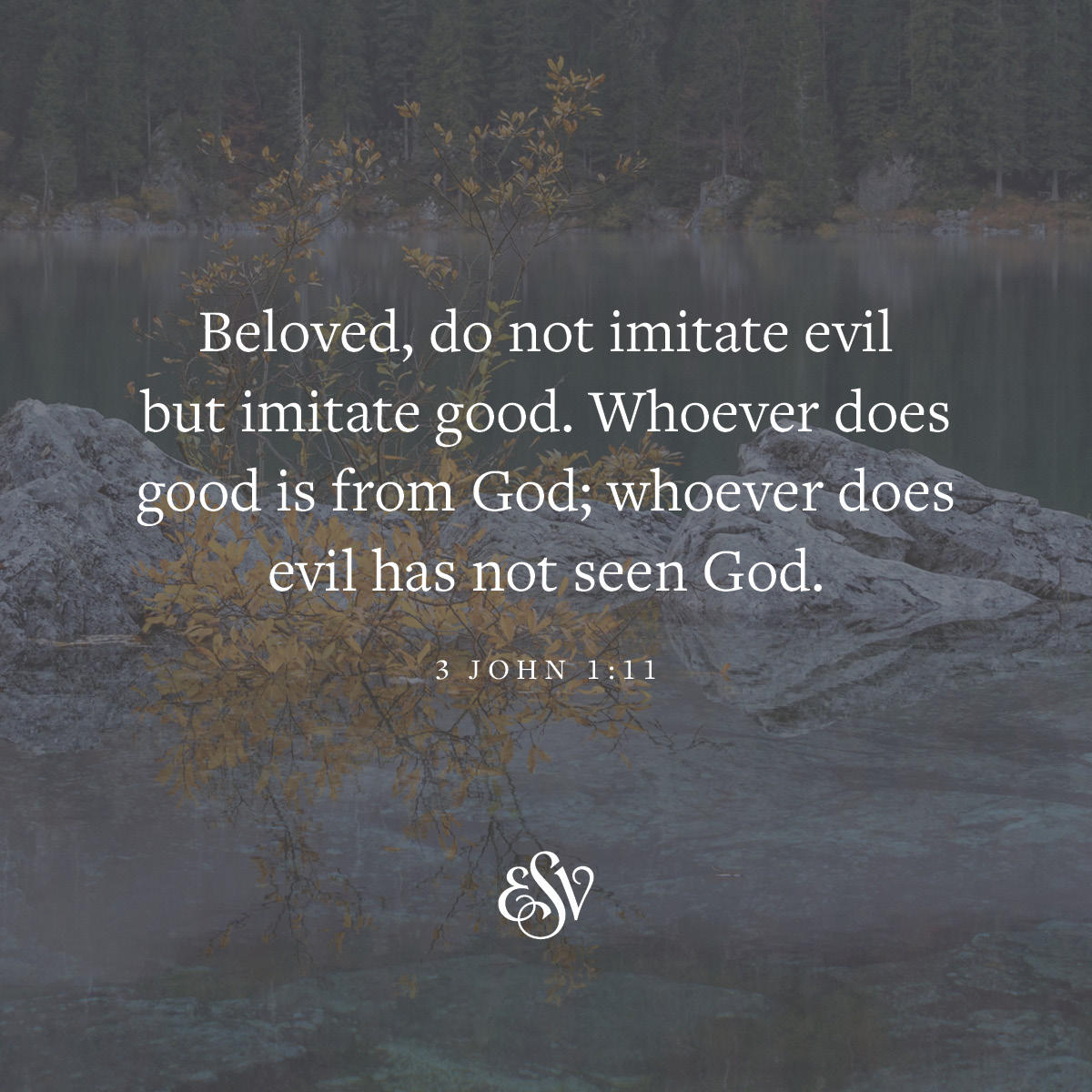 Beloved, do not imitate evil but imitate good. Whoever does good is from God; whoever does evil has not seen God. —3 John 1:11 ESV.org 

#Verseoftheday #ESV #Scripturememoryverse #Bible