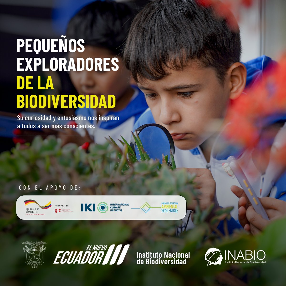 💚🔎Descubre cómo los pequeños exploradores de la biodiversidad nos muestran la importancia de observar y proteger nuestro entorno natural.
🦎🐝🦋🐞🐛🌿🍄🪰🐤🕸️🌷
#ElNuevoEcuador
#INABIO
#CienciaCiudadana