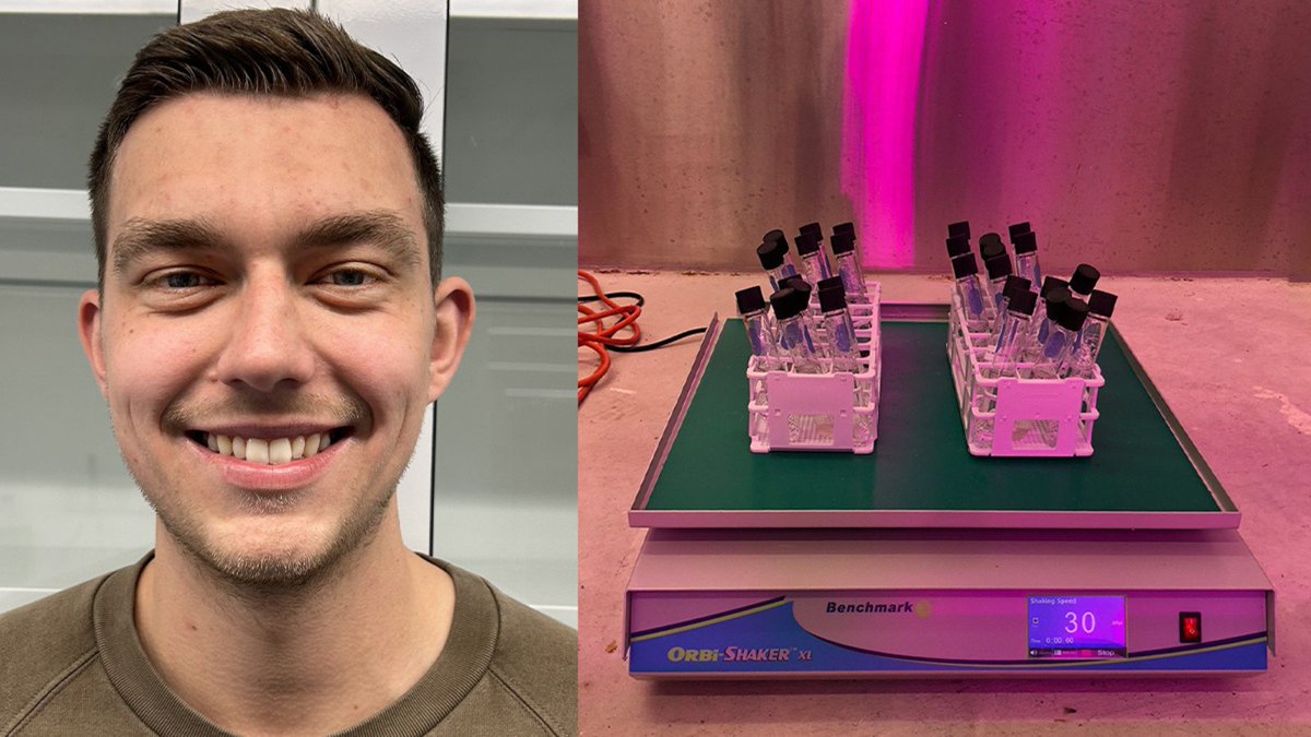 🔍♻️ Dive into groundbreaking research by Environmental Applied Science and Management PhD student Eric Fries! 🌿 His innovative methods are revolutionizing how we track and assess toxic plastic additives. bit.ly/3JzyCVC @ensciman #PlanetvsPlastics