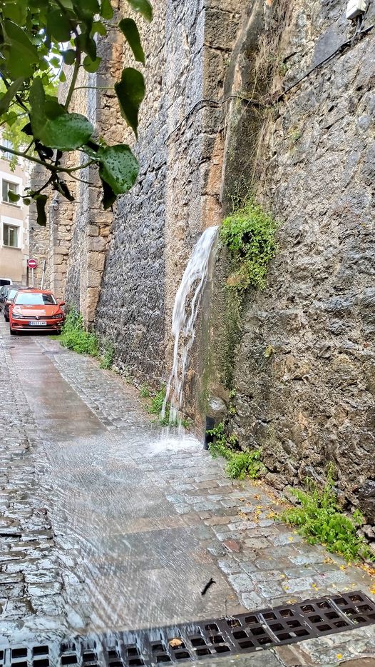 A #Girona, quan #plou, es poden veure meravelles de la natura com aquesta. La podeu veure al Portal Nou, al barri vell. ☔️ #Turisme #turismo