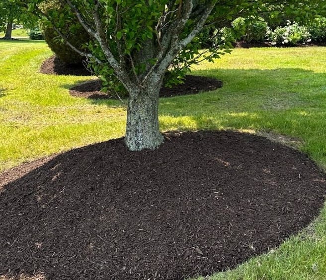 Yard feeling Mulch-❌?  Prime Landscapers says Mulch-✅!
Our mulching service team installs gorgeous mulch that adds instant curb appeal & cuts down on weeding. 😎✨

Let's create a yard that keeps your yard looking sharp all season long.💫🤗

#primelandscapers #mulchingservice