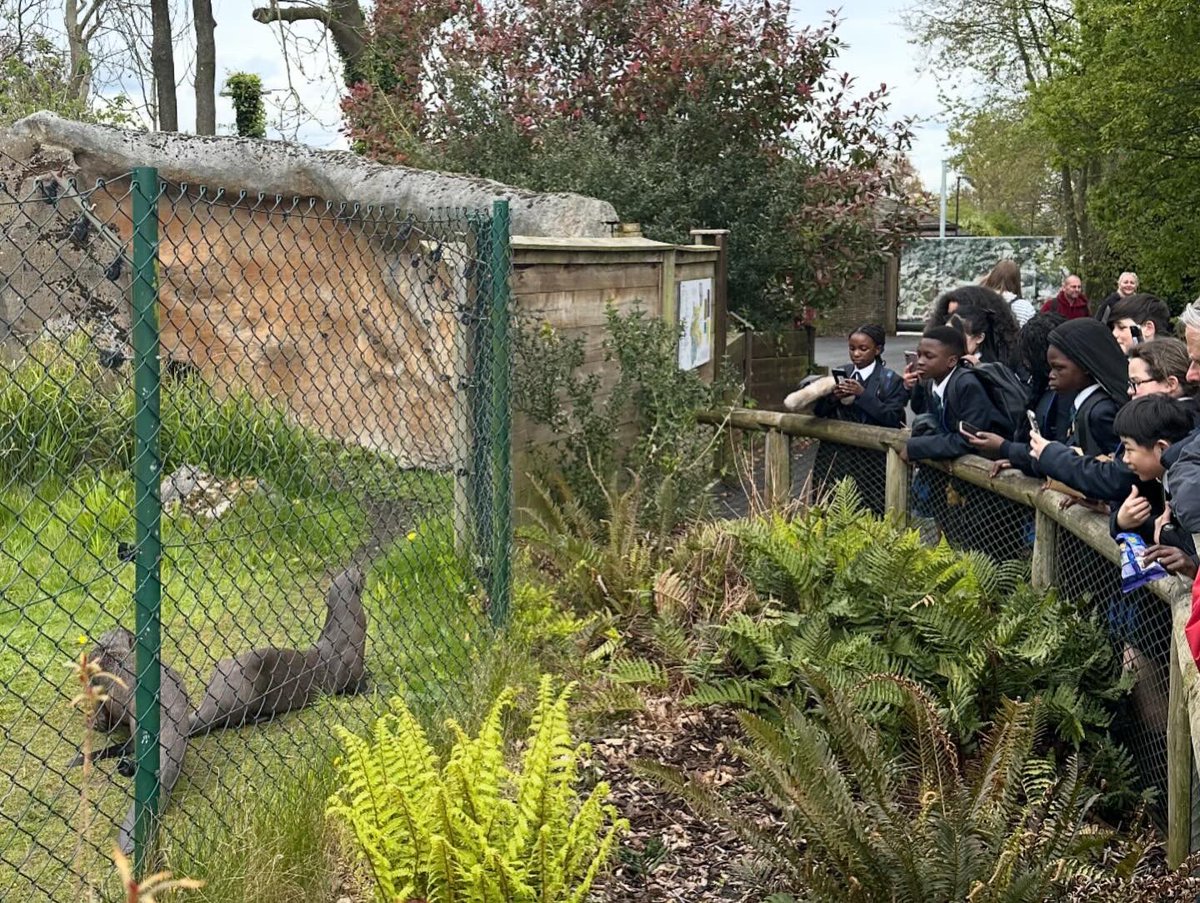 A wild day at 𝗖𝗵𝗲𝘀𝘁𝗲𝗿 𝗭𝗼𝗼! 🦒✨🐆🐾

Following three Climate and Sustainability Workshops in school, Year 7 were lucky enough to visit @chesterzoo last Friday.

They had a blast meeting all the different animals and learning about their different habitats. 📸