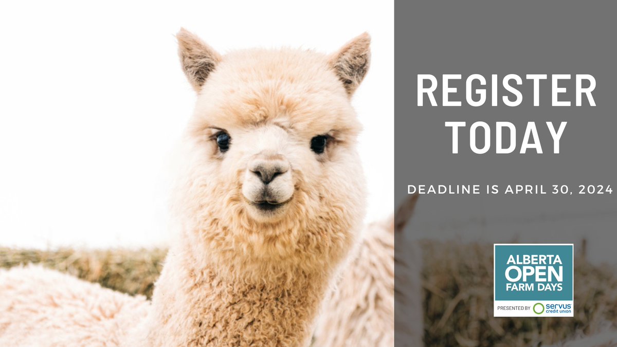 The deadline to register your farm to be a part of Alberta Open Farm Days is THIS WEDNESDAY!!
Register today!!
pulse.ly/pagunxq5cx