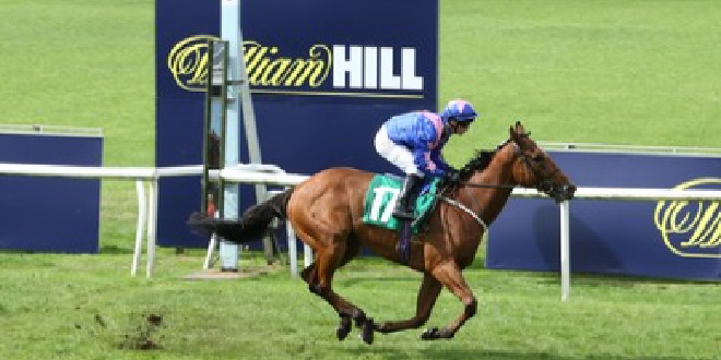 William Hill is to become the Official Betting Partner of the Qipco Holdings Guineas Festival 🏇 hubs.li/Q02vjJ1F0