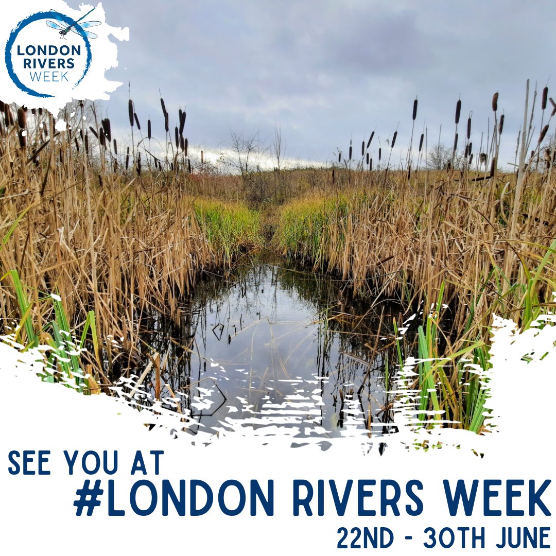 📢Did you hear the great news? London Rivers Week is back from the 22nd to the 30th of June! London Rivers Week aims to connect people to their local rivers through a series of events and activities, including walks, talks, cultural initiatives, and webinars.