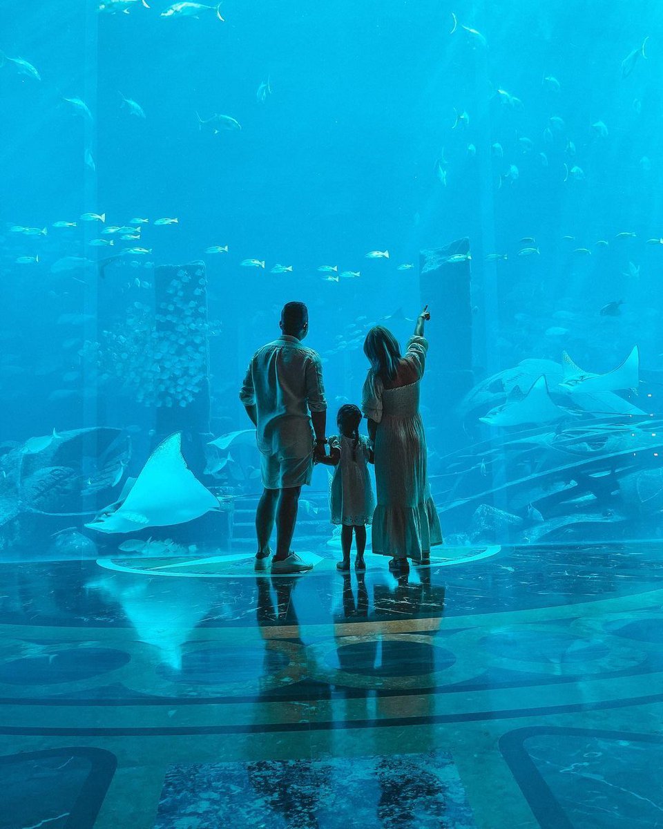 Discover the beauty and mystery of the underwater world at The Ambassador Lagoon 🐠 at @ATLANTIS 📸 @mrs_sarahna #VisitDubai