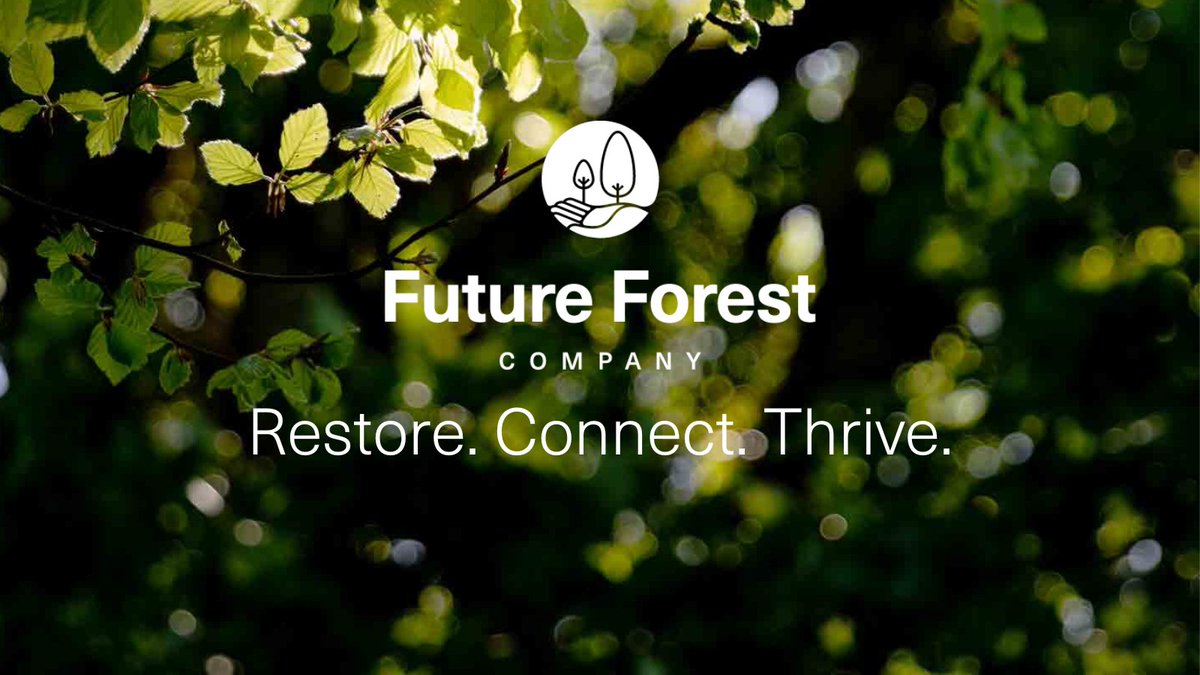 🌱 We've been quietly working away on a BIG project behind the scenes and it's one we're very excited about. It's going to make it easier than ever before for you to make an impact and help restore nature! Watch this space 👀 🌳

#impact #savenature