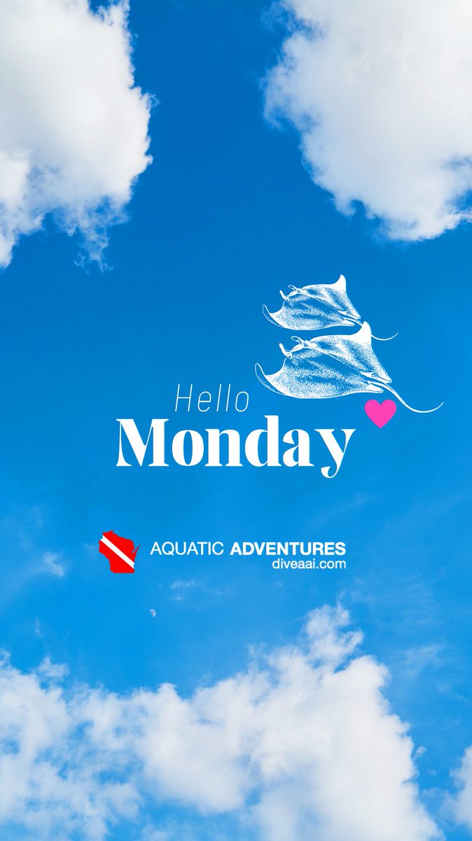 It's the beginning of a new week! Any fun plans this week for anyone? 
#hellomonday #diveaai #newweek #anyfunplans #doesanyonethinkstingraysarethebirdsofthesea