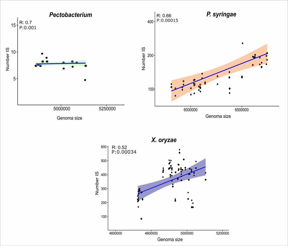 Investigating the impact of insertion sequences and transposons in the genomes of the most significant phytopathogenic bacteria. This article was published #OpenAccess and fee-free in #MGen using a #PublishAndRead agreement: doi.org/10.1099/mgen.0…