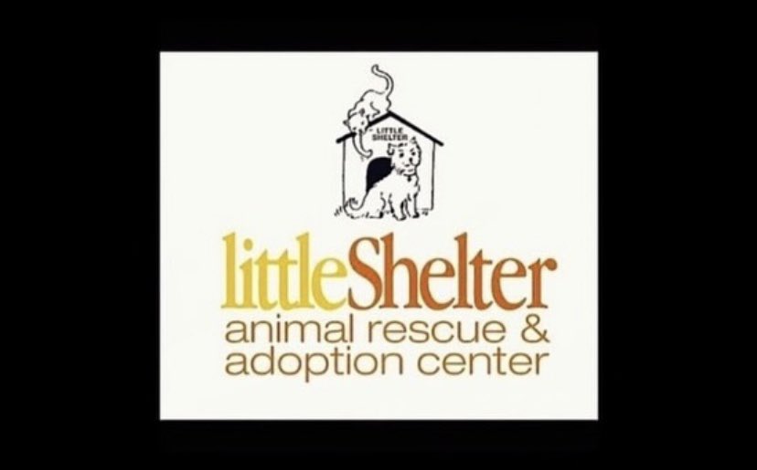Mother”s Day is Sunday May 12, 2024 The Perfect Mother’s Day Gift for the Animal Loving Mom in Your Life! Little Shelter, Spring/Summer drawing. All proceeds go to helping the animals, making everyone in this exciting raffle a winner. Info: 631-368-8770 x21 $100 donation.