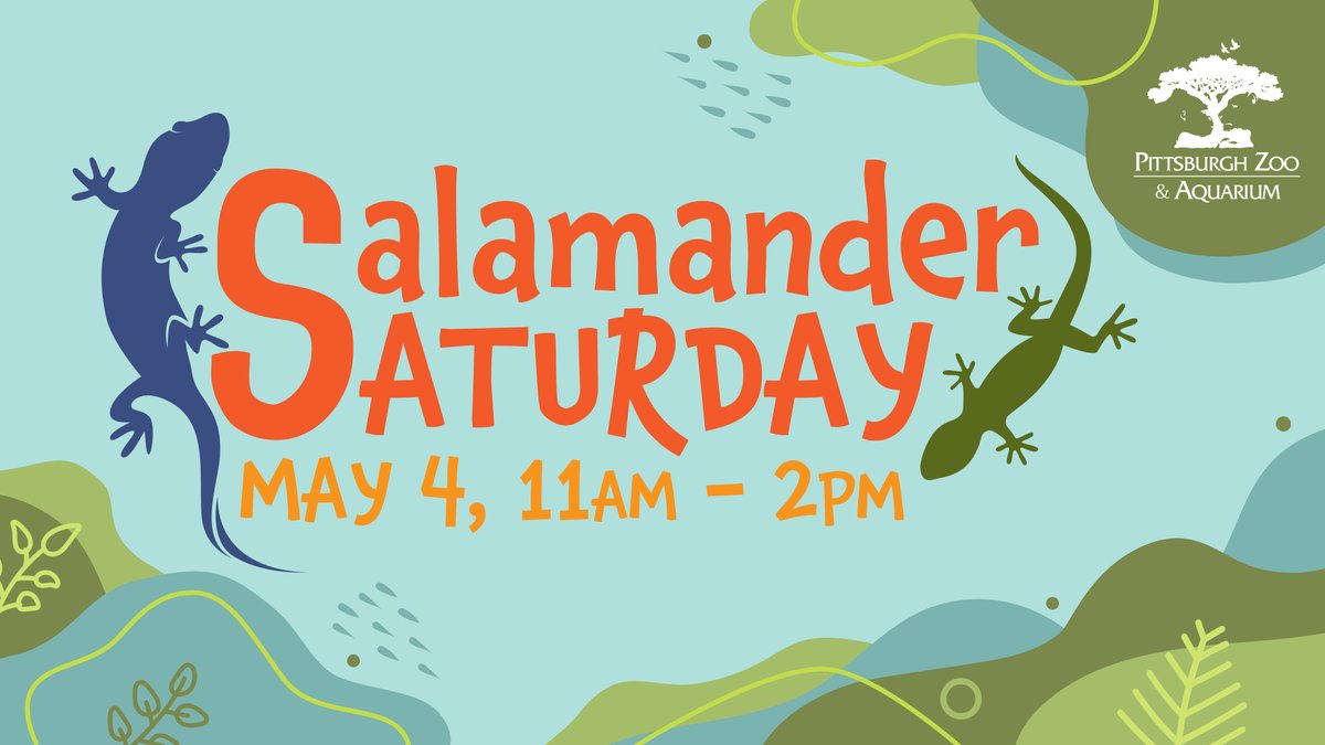 Join us for Salamander Saturday in the Aquarium on Saturday, May 4th! This is an annual celebration of these amphibians, initiated by the Foundation for the Conservation of Salamanders. Learn about their vital role in the ecosystem with activity tables!