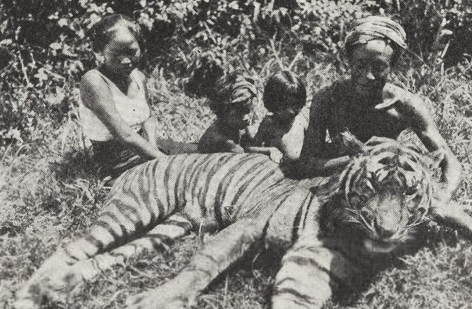 Merian C. Cooper and Ernest B. Schoedsack's CHANG: A DRAMA OF THE WILDERNESS (1927) was released on this date. 🐅