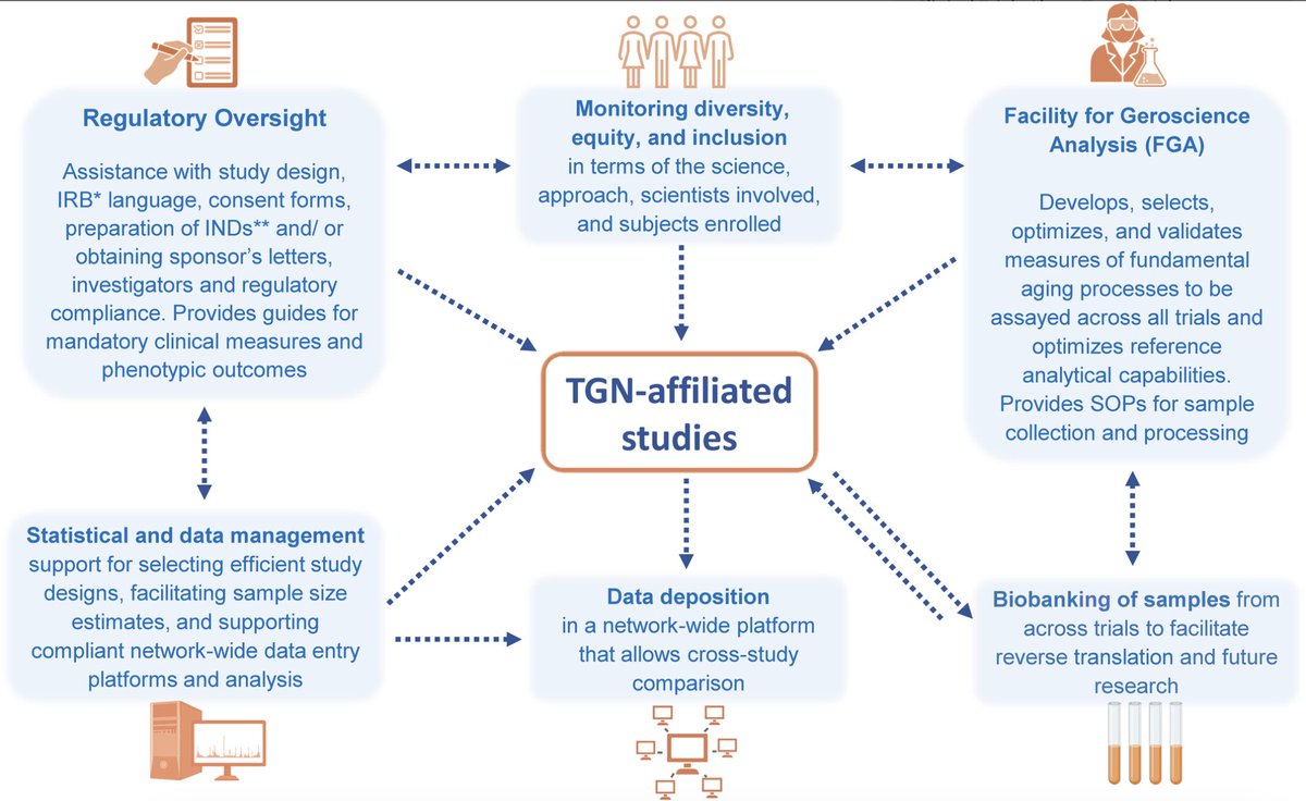 NIA Translational Geroscience Network: An infrastructure to facilitate geroscience-guided clinical trials. #geriatrics agsjournals.onlinelibrary.wiley.com/doi/10.1111/jg…