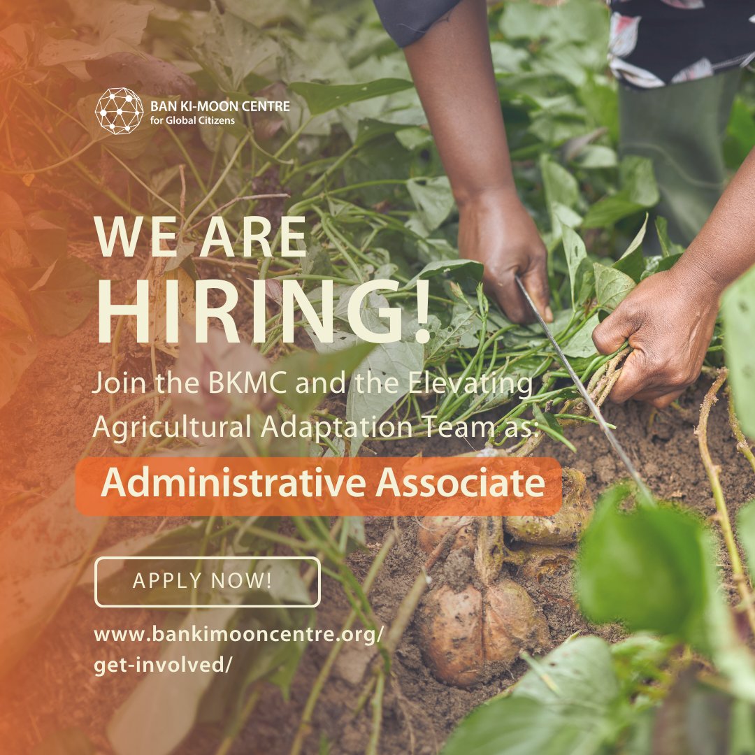 #jobalert: We're looking for an 'Administrative Associate' to join our Elevating #AgriculturalAdaptation Program!

🟢 Do you have strong organizational and communications skills?
🟢 Are you fluent in 🇩🇪 German and 🇬🇧 English?

Apply by May 5, 2024: bankimooncentre.org/get-involved/